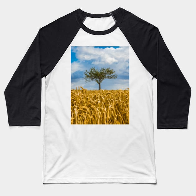 Single tree in a field of Wheat Baseball T-Shirt by Femaleform